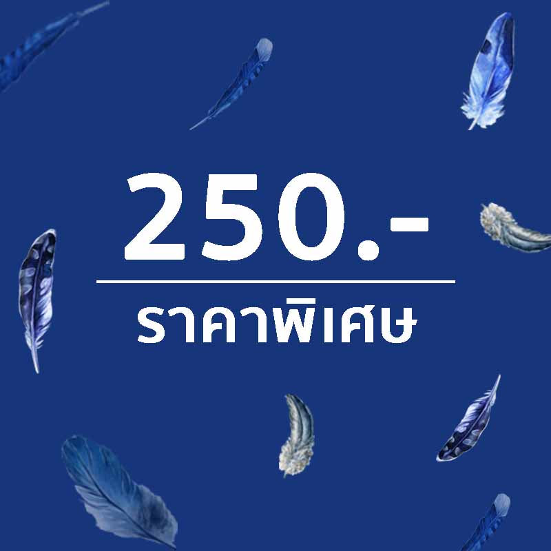 Price Zone