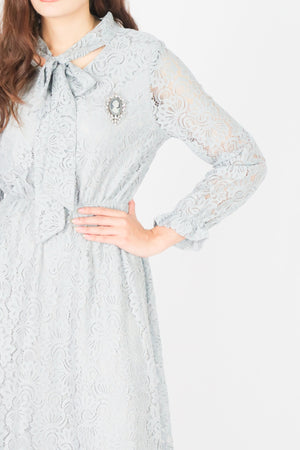 ชุดเดรสลูกไม้ - Lace Dress