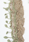 ผ้าพันคอแต่งพู่ลูกไม้ - Tassel Leafy Lace Scarf