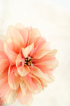 ที่คาดผมติดดอกไม้ - Boho Floral Crown Rose Flower Headband Hair Wreath