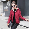 เสื้อแจ็คเก็ตดาวน์กันหนาว - Slim Fit Hooded Down Jacket
