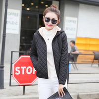 เสื้อแจ็คเก็ตดาวน์กันหนาว - Slim Fit Hooded Down Jacket